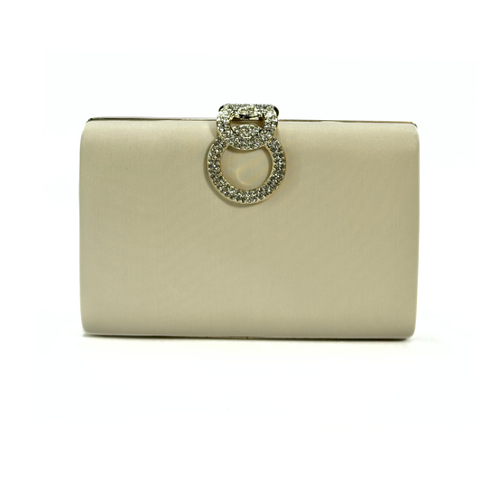 Elegant Crystal Brooch Clutch (Beige)
